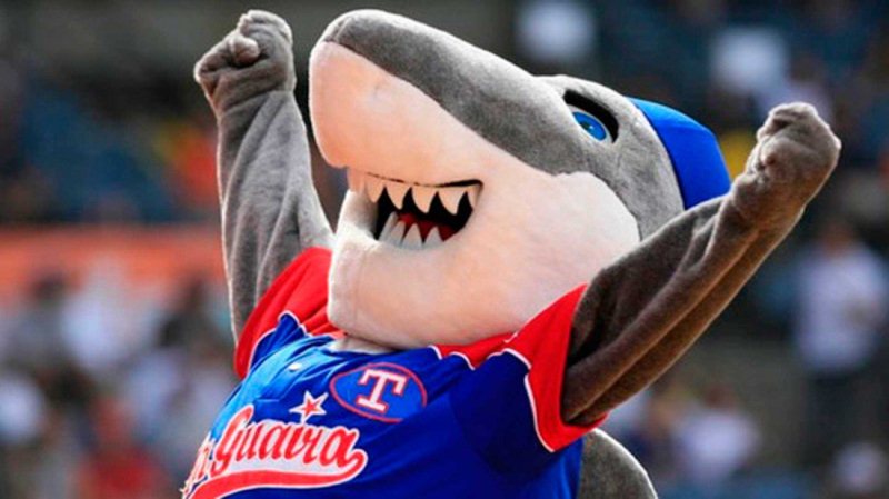 Tiburones le ganó a Leones 8-2 y empató la serie final - El Espectador de  Caracas